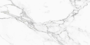 Керамогранит NT Ceramic Infinity Statuario арт. NTT9125M (60x120) матовая